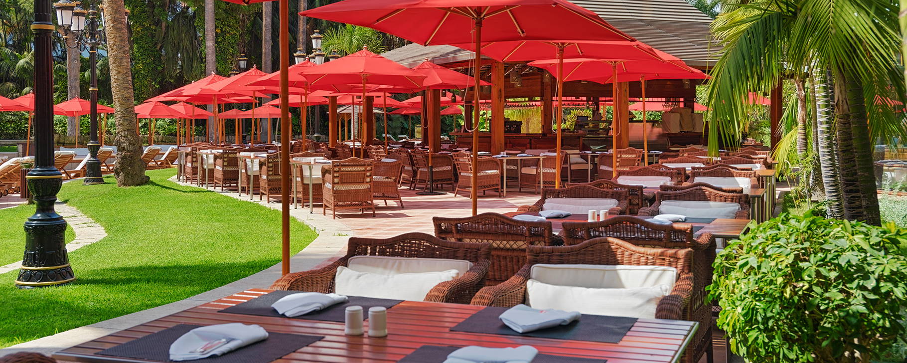 Palmera Real - Hotel Botanico