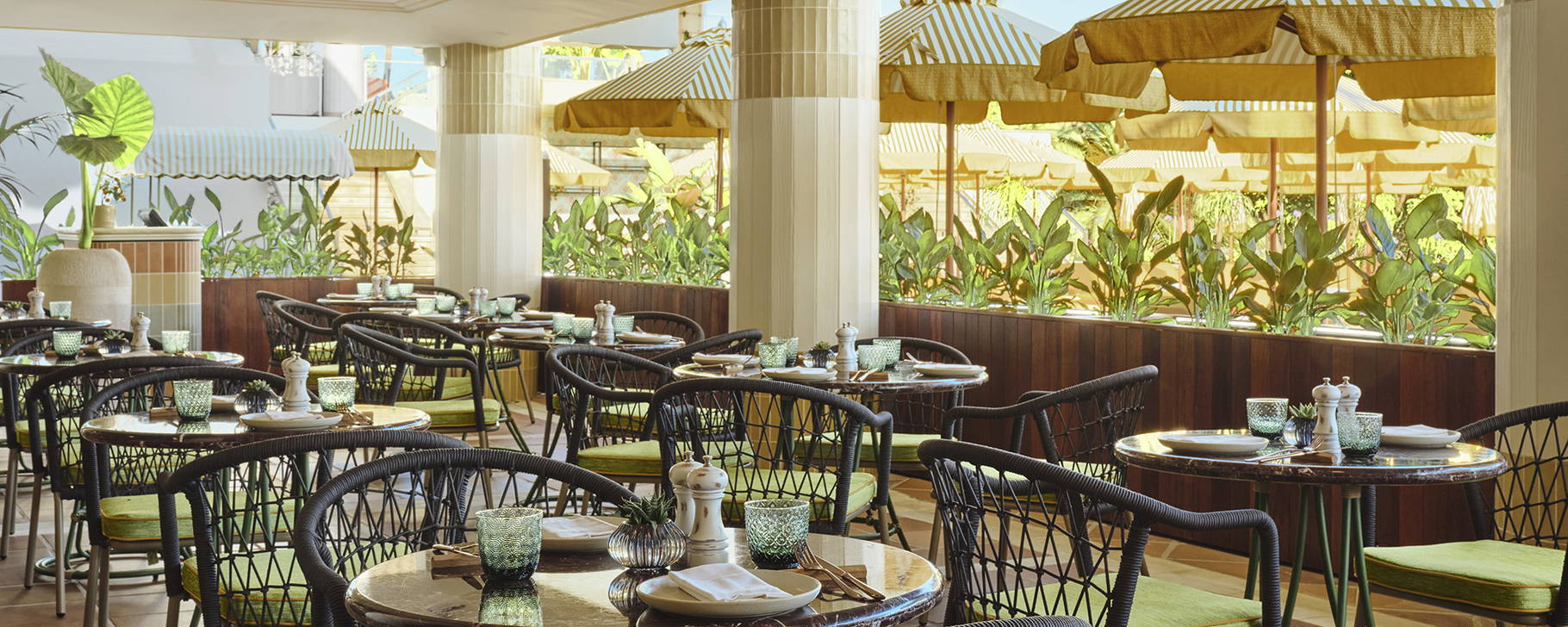 Sol y Sombra - Don Carlos Marbella