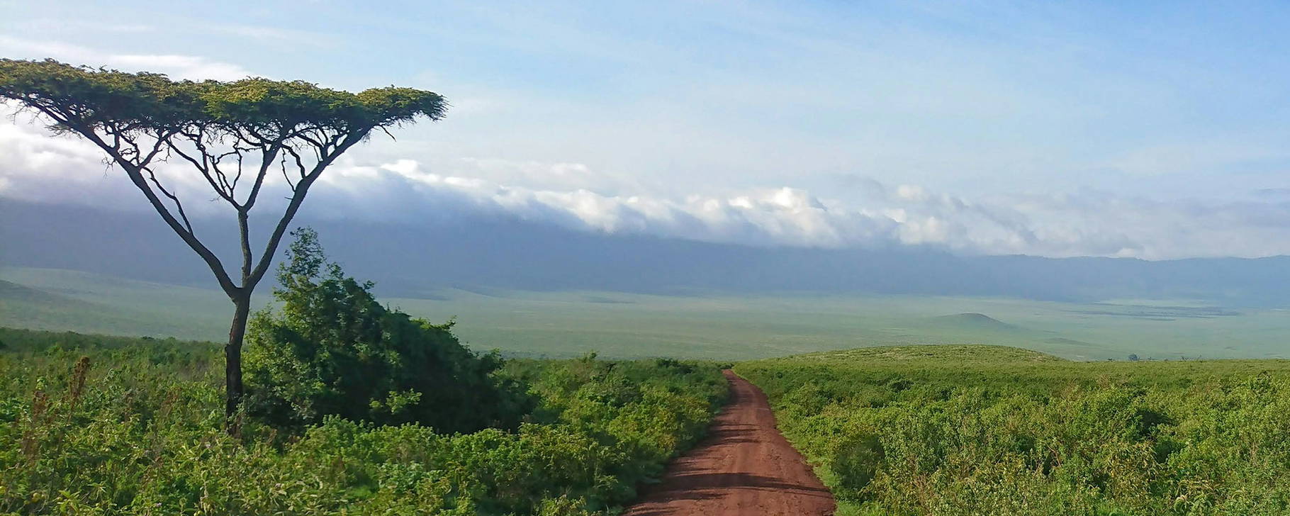 Ngorongoro-Krater - Tansania Kompakt