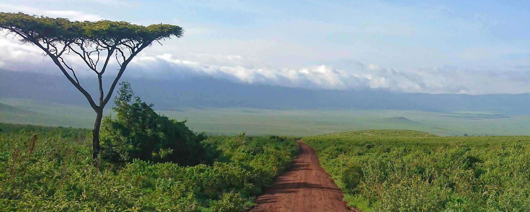 Ngorongoro-Krater - Tansania & Sansibar Exklusiv