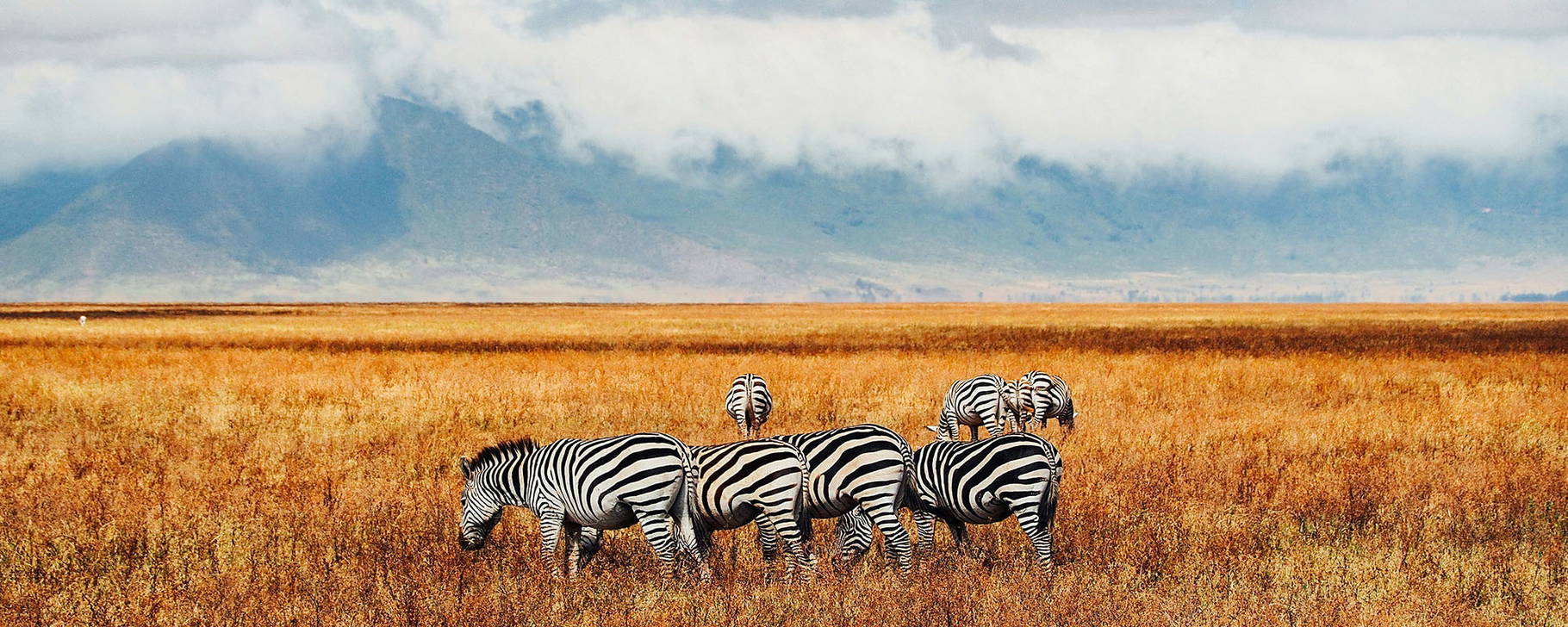 Ngorongoro-Krater - Tansania Kompakt