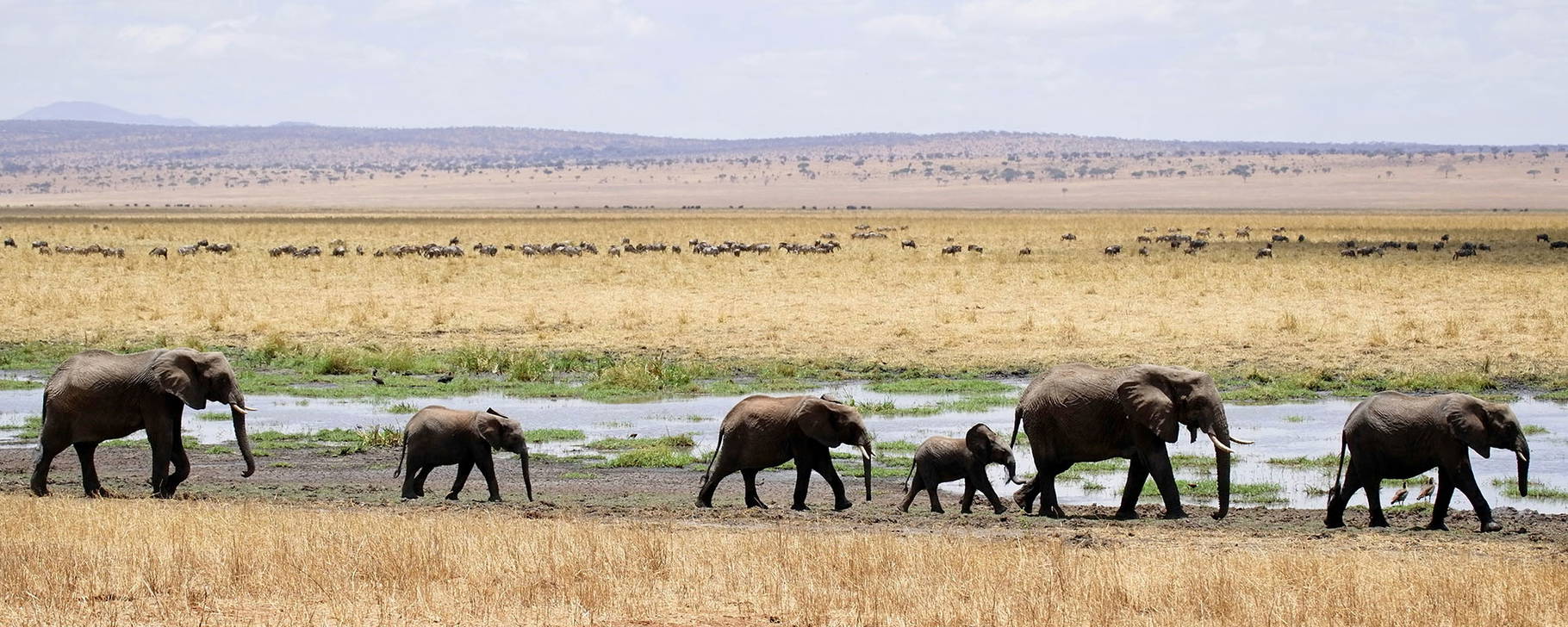 Tarangire Nationalpark - Tansania & Sansibar Exklusiv
