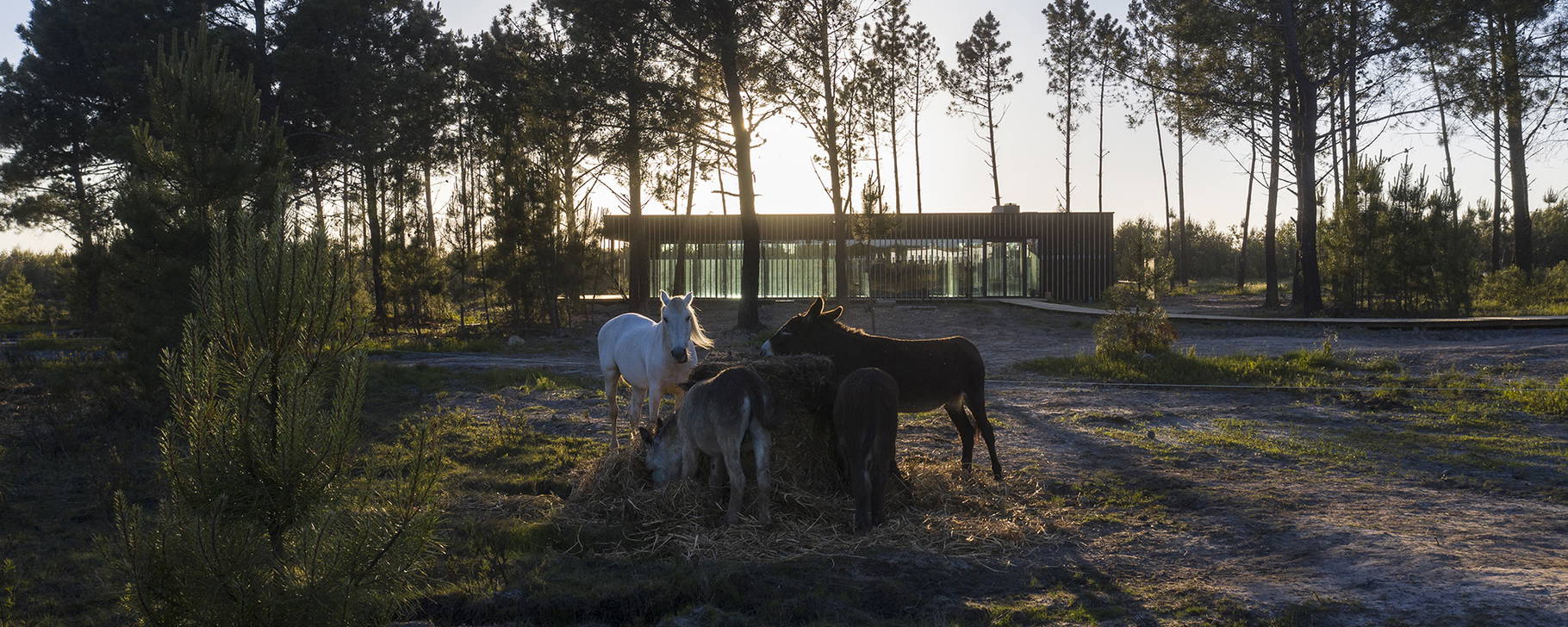 Tiere - Craveiral Farmhouse