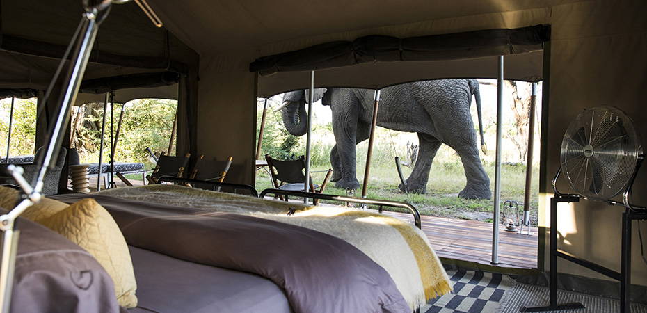 Gomoti Plains - Boutique-Hotels